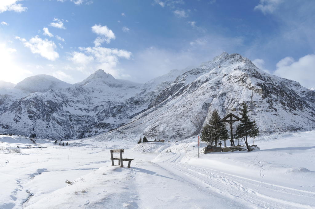 Bergparadies - Inklusive Eintritt In Die Alpentherme Dorfgastein Exterior photo